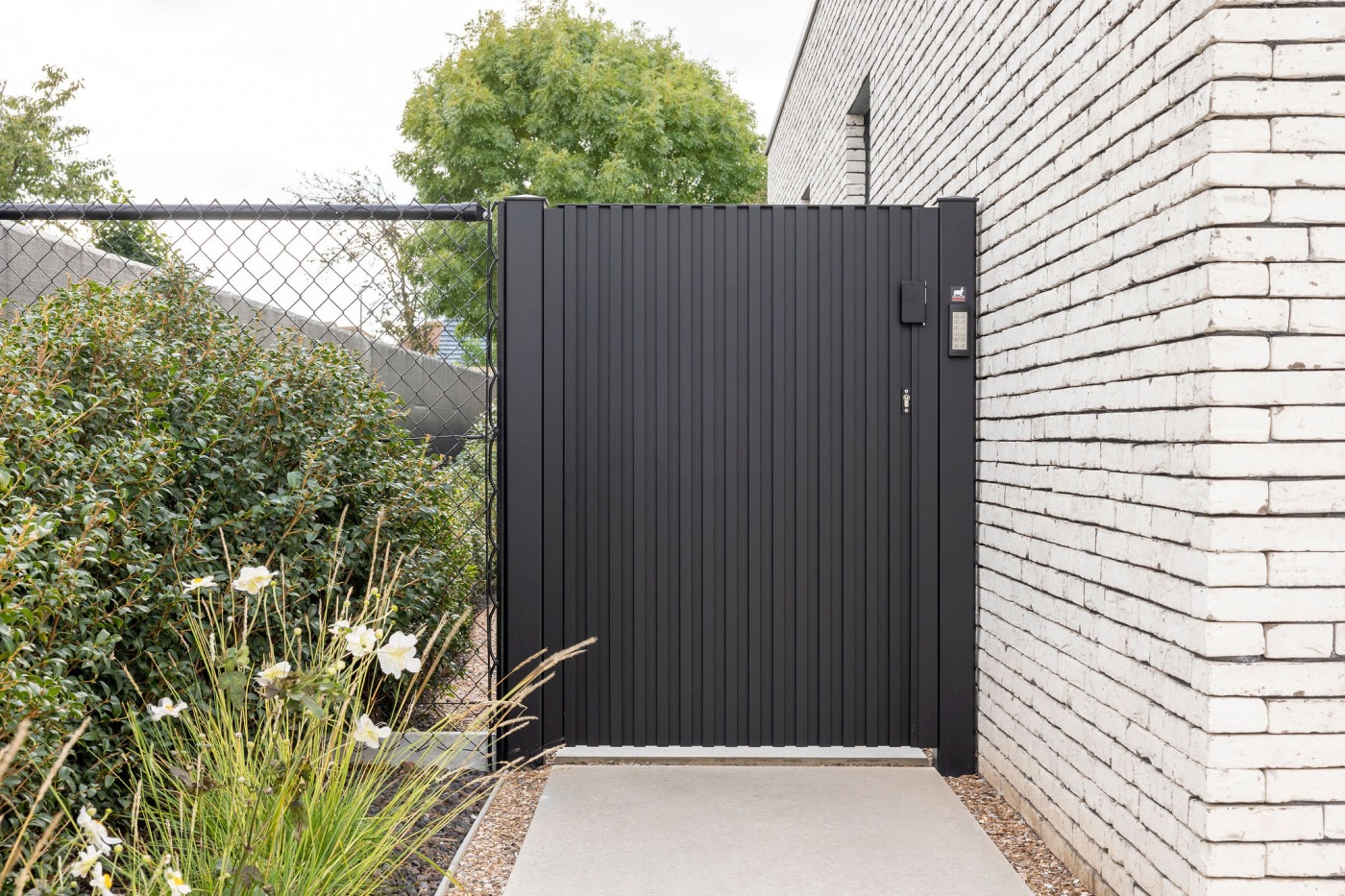 Moderne tuin met grindpaden en wintergroene planten rond een eigentijds woonhuis.