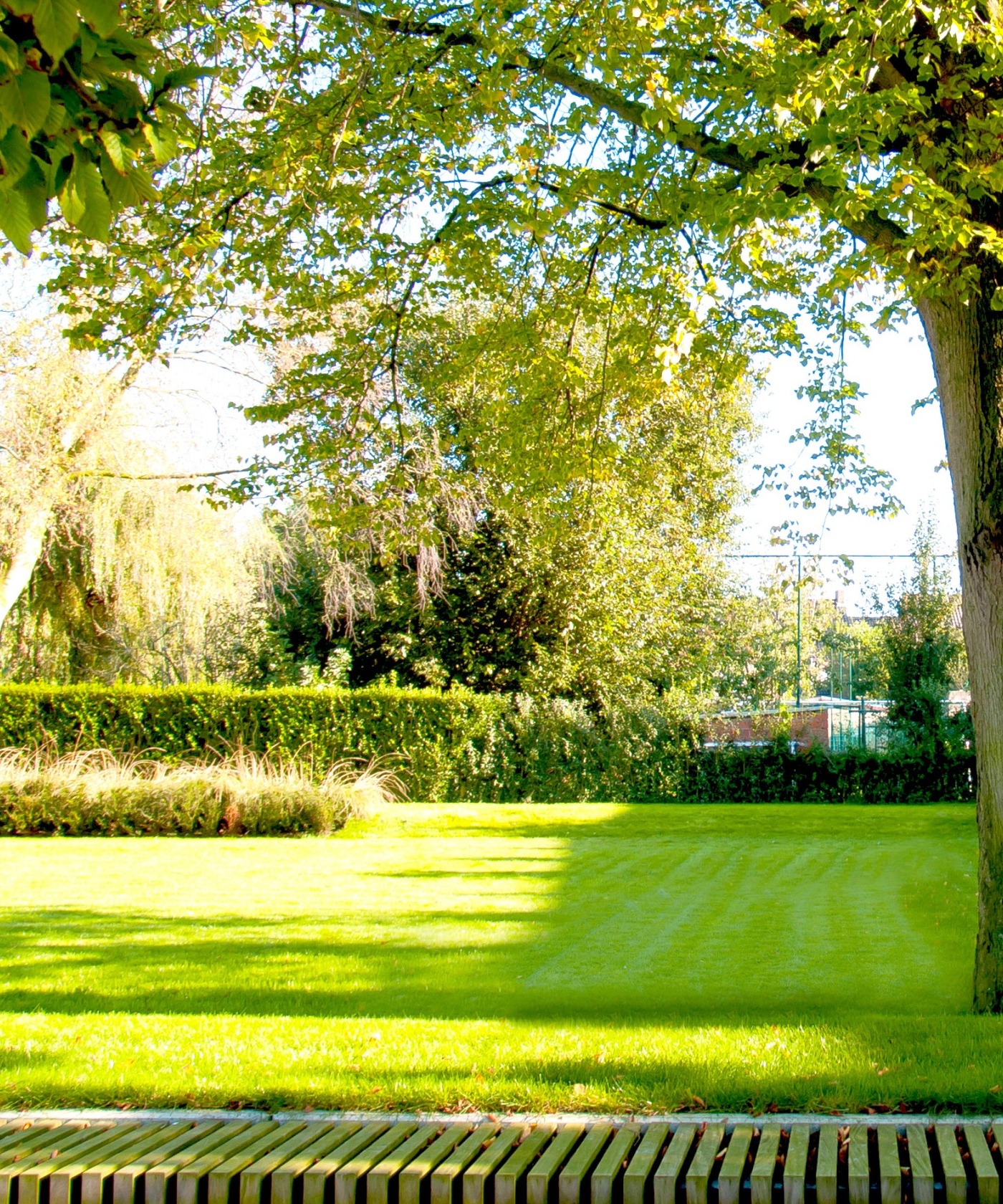 Landelijke tuin met oude bomen in Ichtegem, met een strak gazon en natuurlijke schaduw.