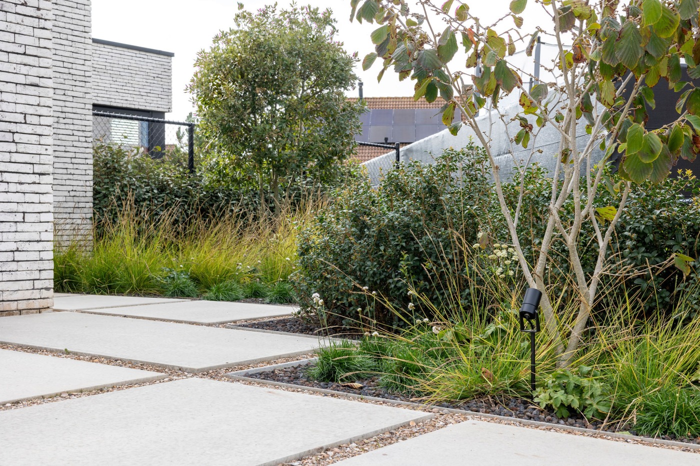 Close-up van siergrassen en grind, met een moderne betonnen randafwerking.