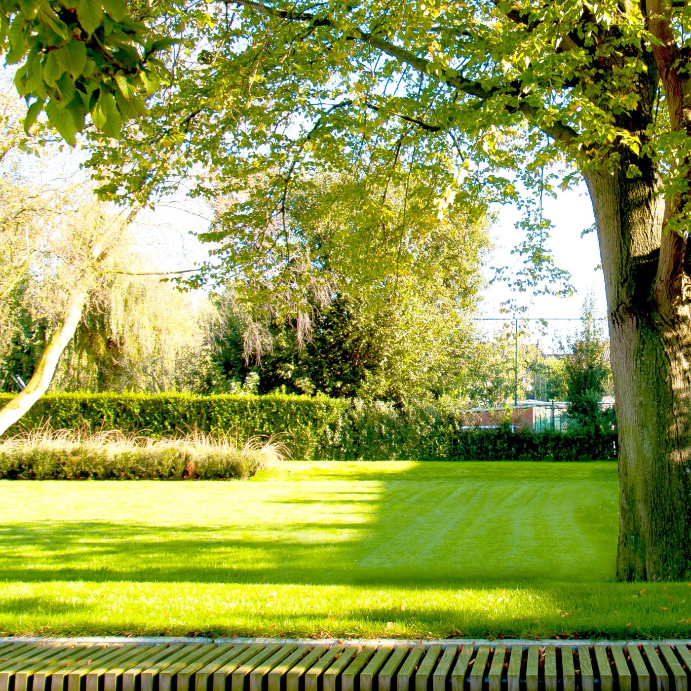 Landelijke tuin met oude bomen in Ichtegem, met een strak gazon en natuurlijke schaduw.